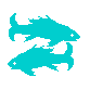 February 20 to March 20 - Pisces the fish